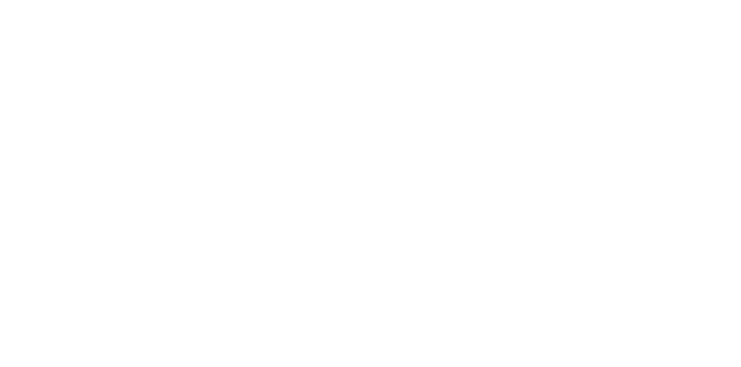 Synaps Website